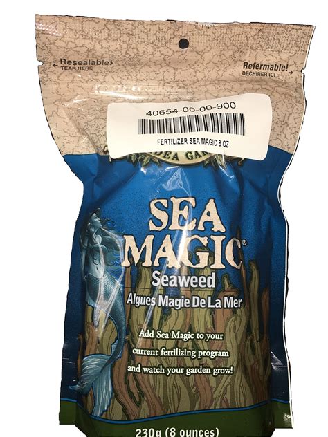 Unleashing the Potential of Magical Seaweed for Mental Clarity